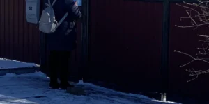 Звіт за 19.02.2025 р.
