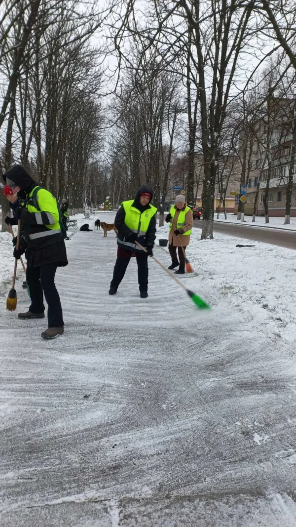 Звіт за 06.02.2025 р