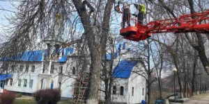 Звіт за 10.03.2025 р.