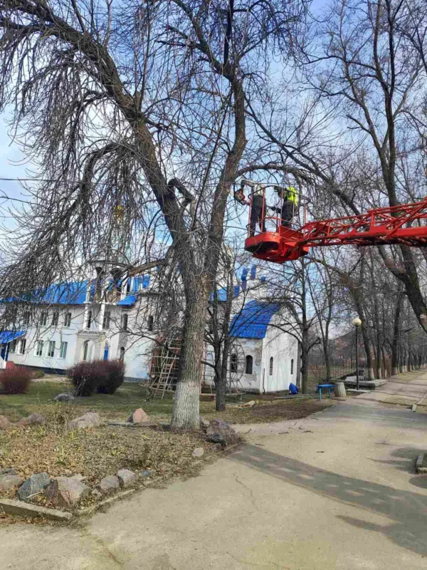 Звіт за 10.03.2025 р.