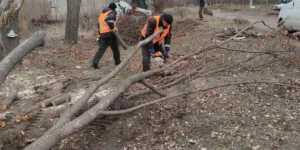 Звіт за 04.03.2025 р.