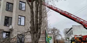 Звіт за 18.03.2025 р.