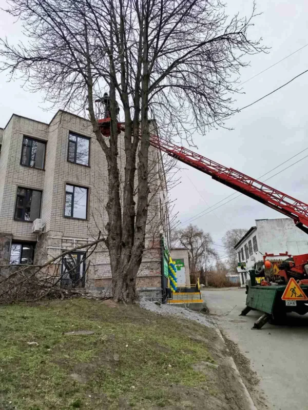 Звіт за 18.03.2025 р.