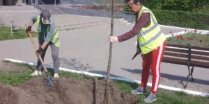Звіт за 24.04.2025 р.
