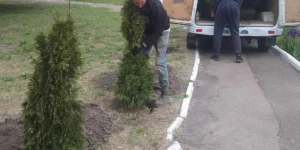 Звіт за 05.05.2025 р.
