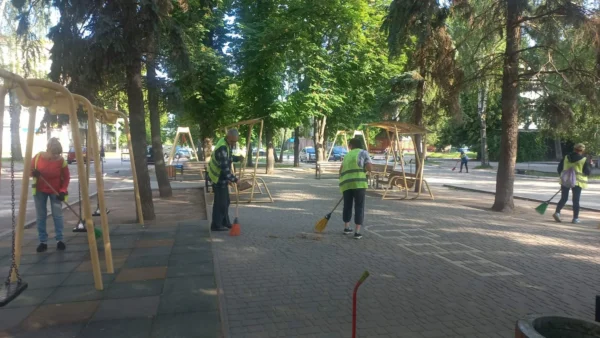Звіт за 06.06.2025 р.