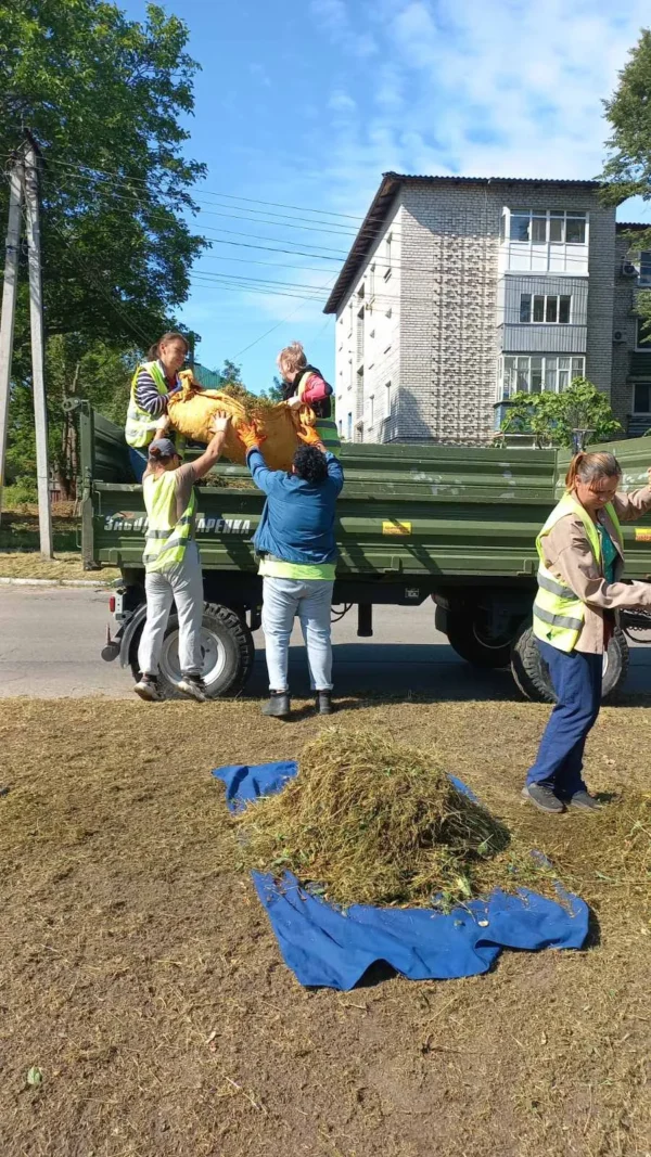 Звіт за 25.06.2025 р.