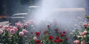 Звіт за 09.06.2025 р.