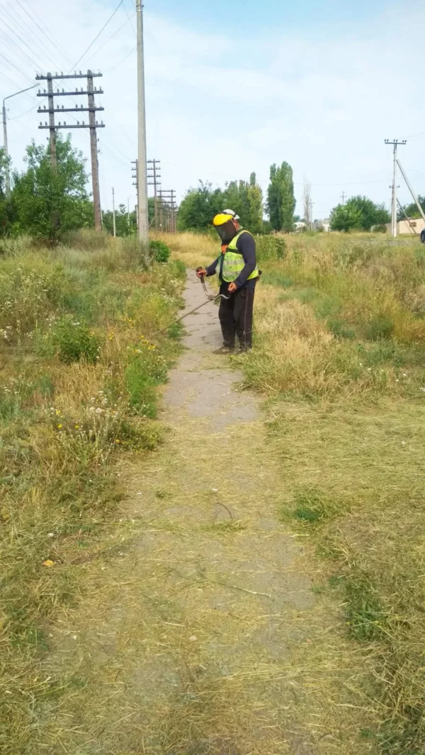 Звіт за 30.07.2025 р.