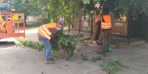 Звіт за 09.07.2025 р.