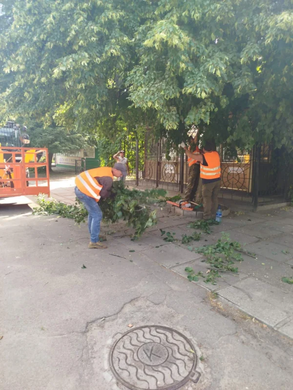 Звіт за 09.07.2025 р.