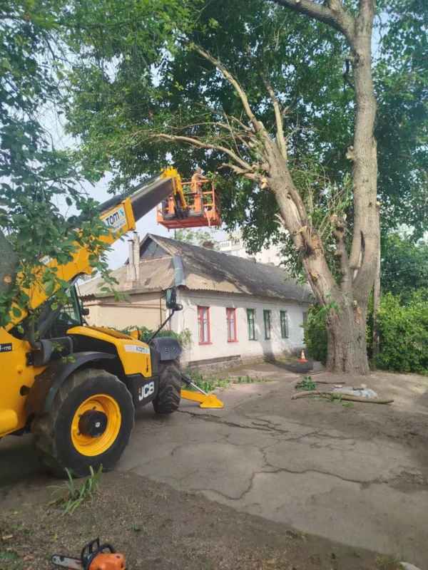 Звіт за 18.07.2025 р.