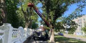 Звіт за 02.07.2025 р.