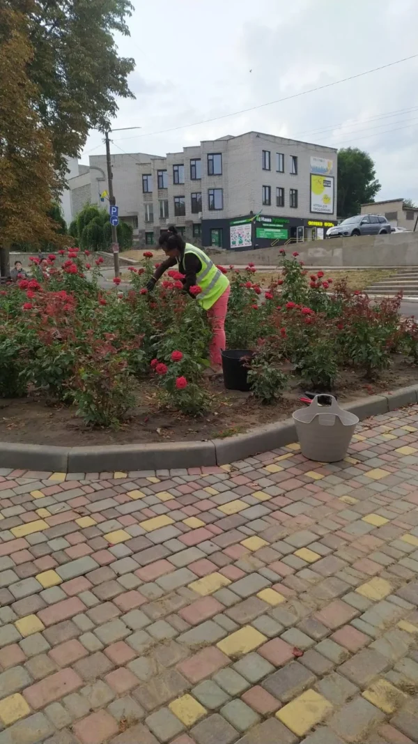 Звіт за 10.09.2025 р.
