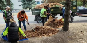 Звіт за 16.09.2025 р.
