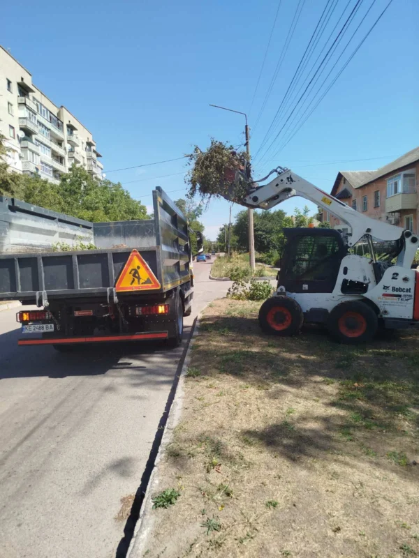 Звіт за 29.08.2025 р.