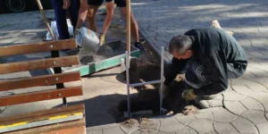 Звіт за 26.09.2025 р.