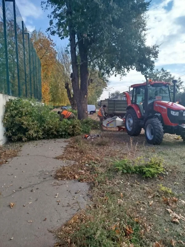 Звіт за 22.10.2025 р.