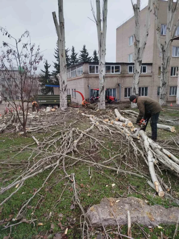 Звіт за 05.12.2025 р.