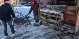 Звіт за 31.12.2025 р.