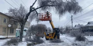 Звіт за 19.02.2026 р.