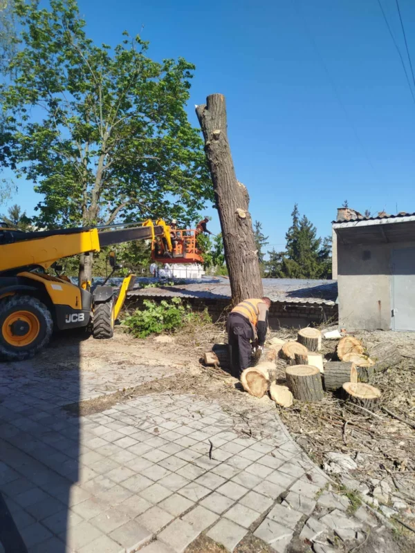 Звіт за 05.05.2026р.