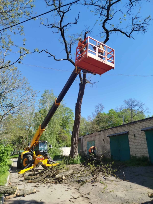 Звіт за 08.05.2026р.