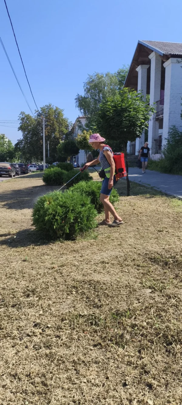 Звіт за 06.08.2026р.