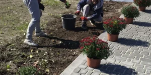 Звіт за 29.09.2026р.