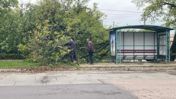 Звіт за 16.10.2026р.