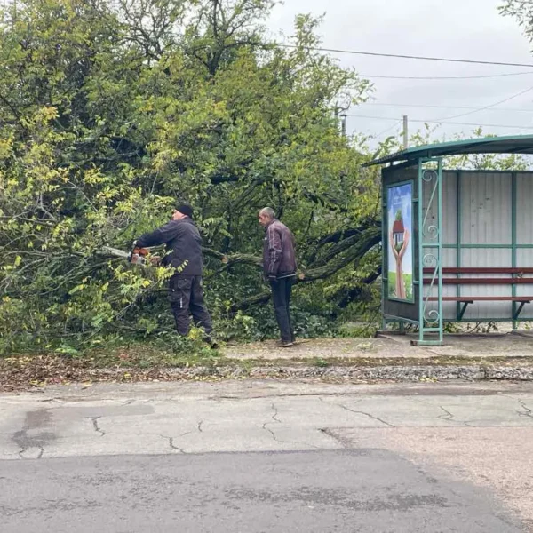 Звіт за 16.10.2026р.